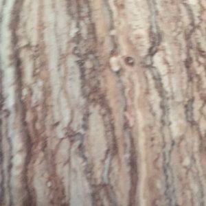 Meet your Posher, Tanesha